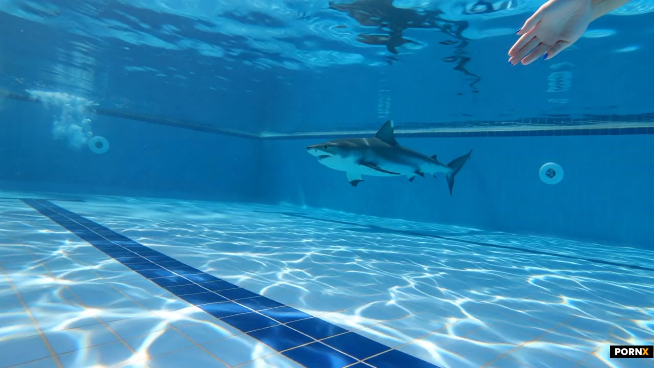 scene_description: A clear indoor pool seen from the bottom looking straight up through shimmering b
